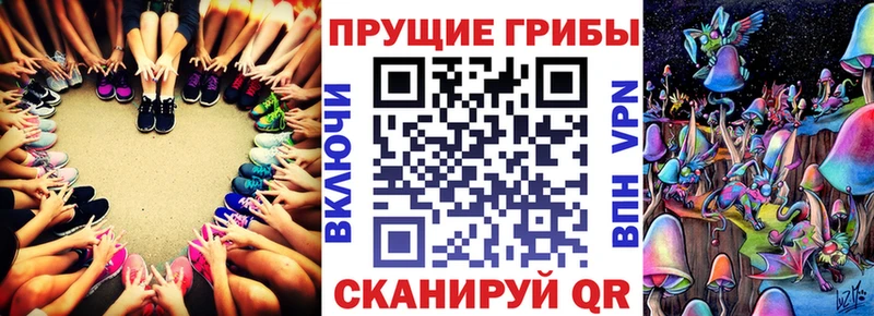omg рабочий сайт  Лобня  Галлюциногенные грибы Cubensis 