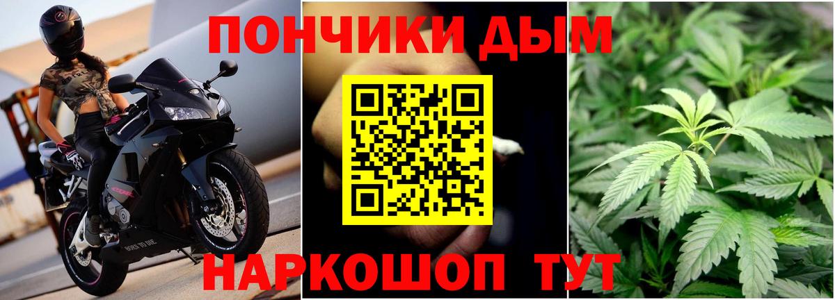 Каннабис индика Лобня